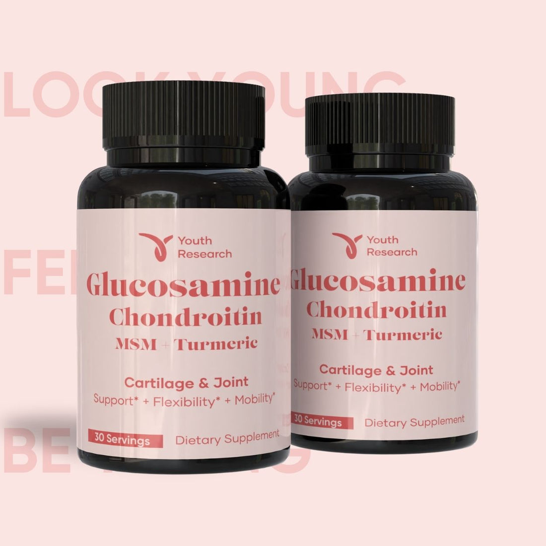 Glucosamine Chondroitin MSM